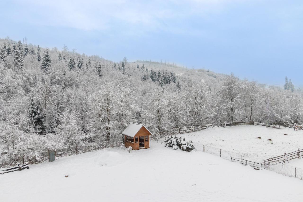 У Румуна Yasinya Exterior foto